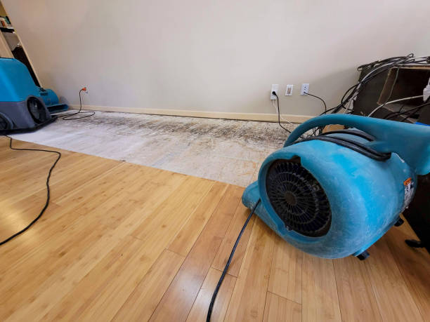 Professional Flood Damage Cleanup technician working in Oriska, ND